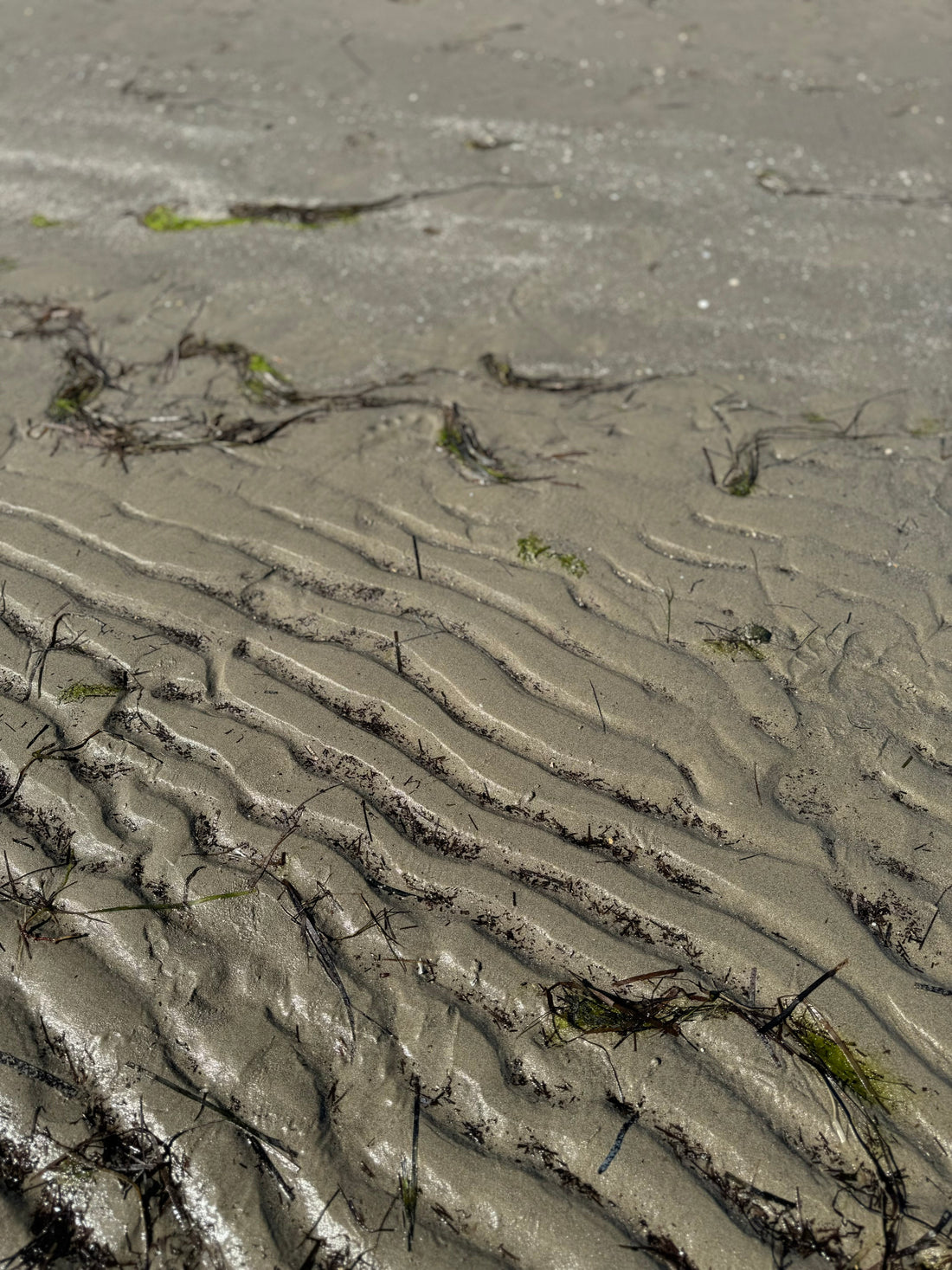 Der Stil, der niemals aus der Mode kommt